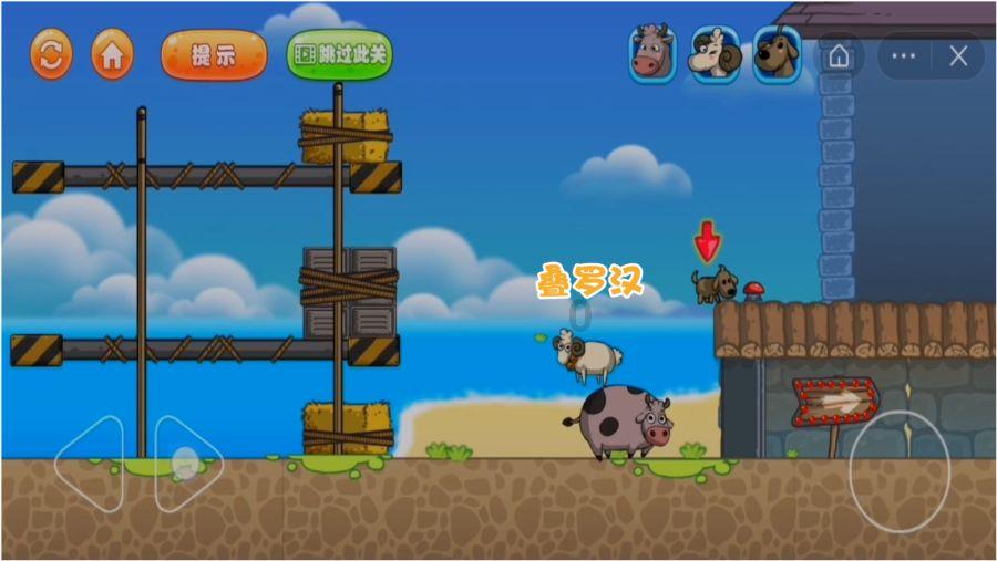 hahabet梦想